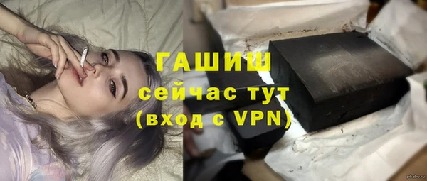 сатива Аркадак