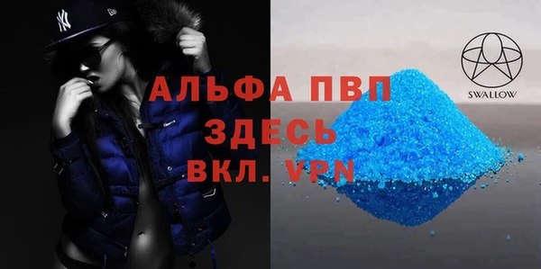 сатива Аркадак
