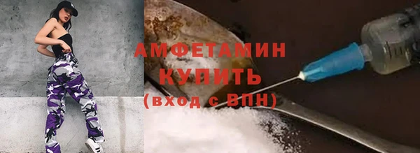 сатива Аркадак