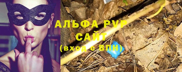 сатива Аркадак