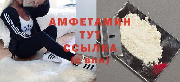 сатива Аркадак